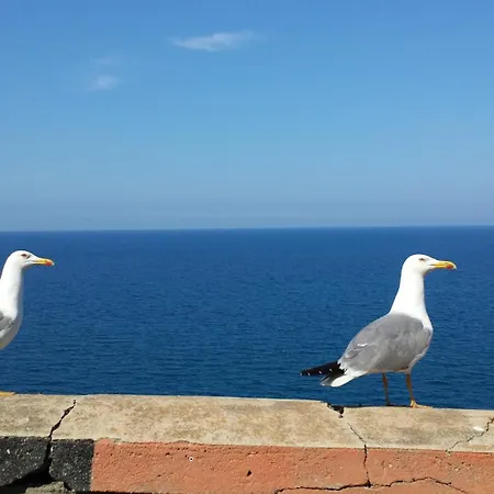 Sicily Sea House 펜션 *